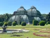 Palmenhaus