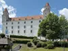 Burg