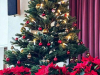 Christbaum-2-korr